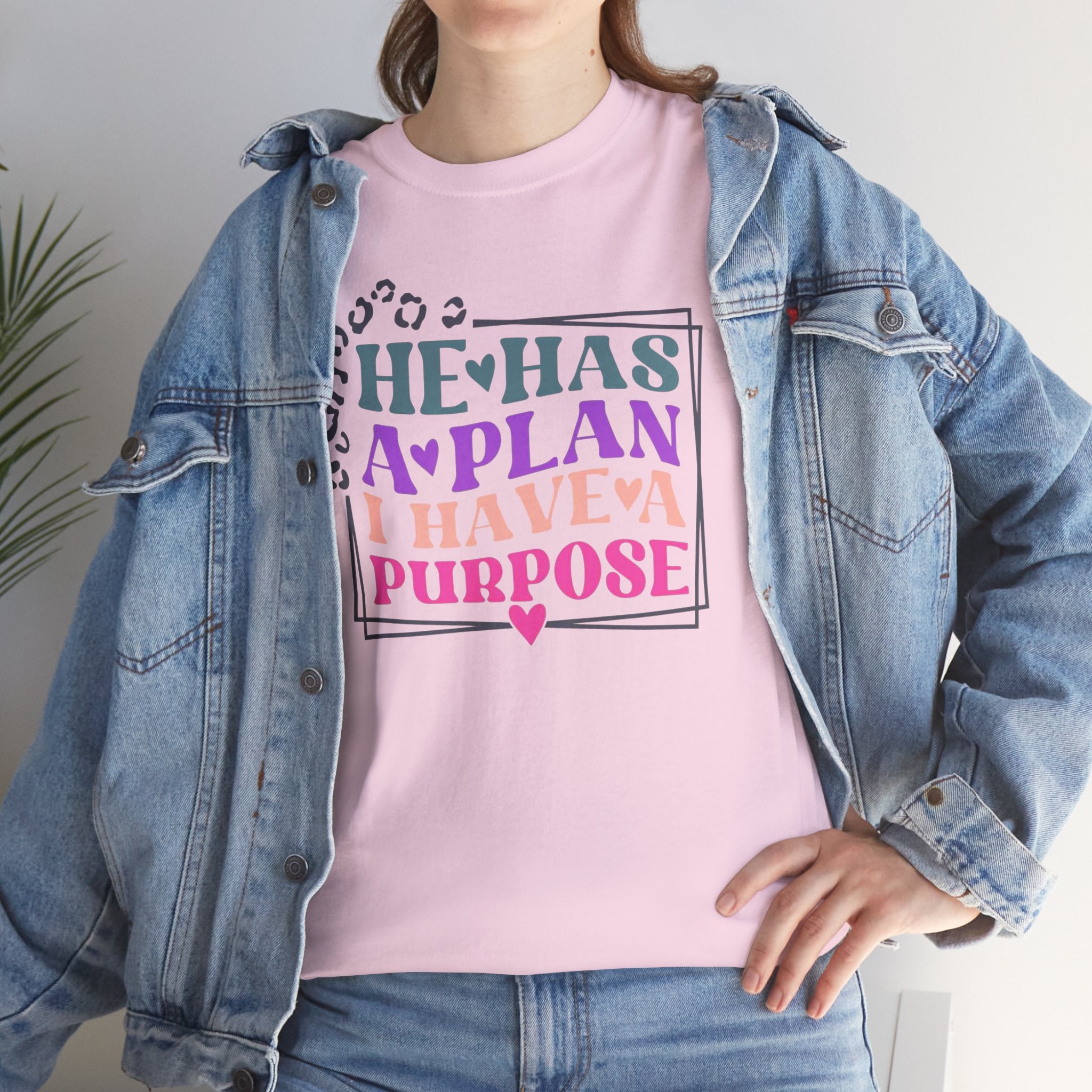 He Has A Plan I Have A Purpose T-Shirt