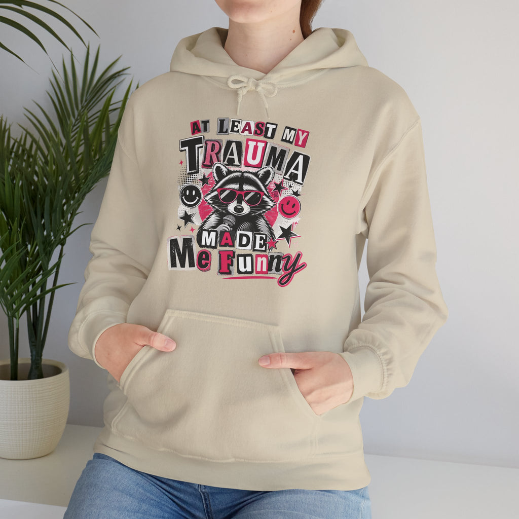 At Least My Trauma Made Me Funny | Sarcastic Raccoon Hoodie | Cr8tive Designs