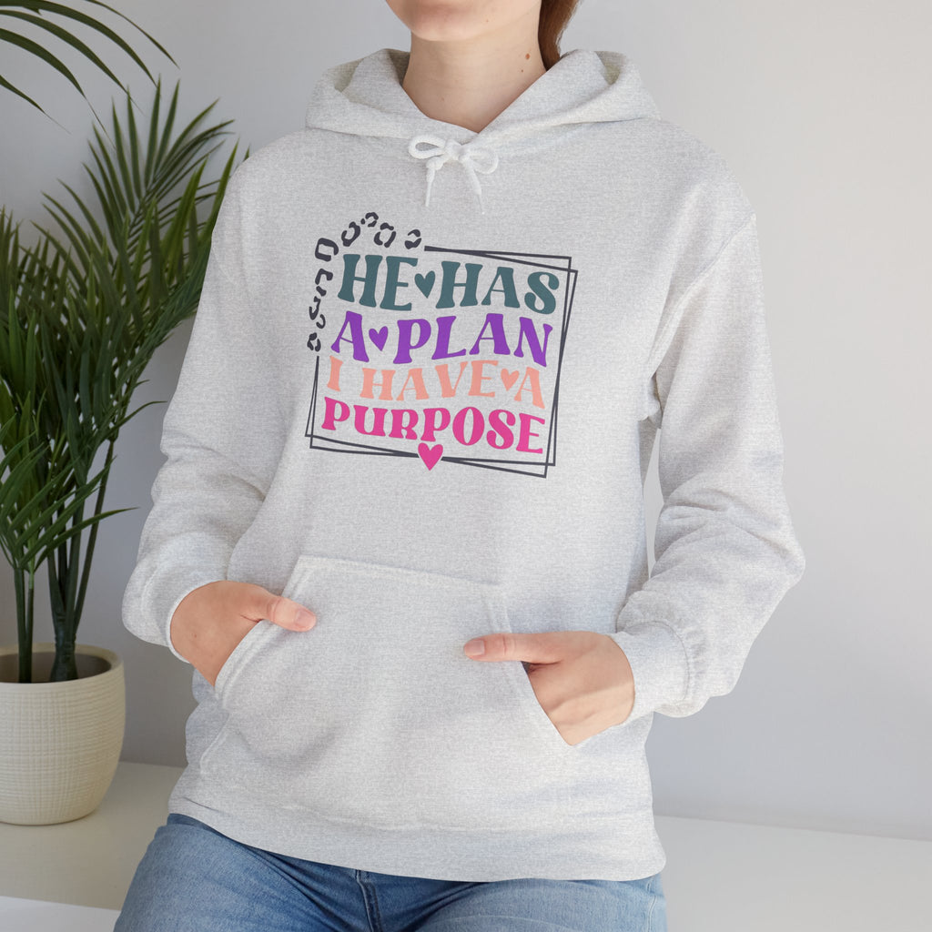 He Has A Plan I Have A Purpose Hoodie