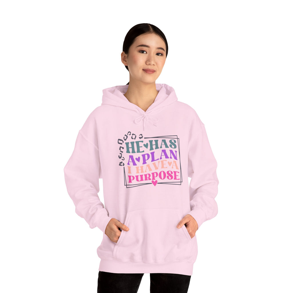 He Has A Plan I Have A Purpose Hoodie