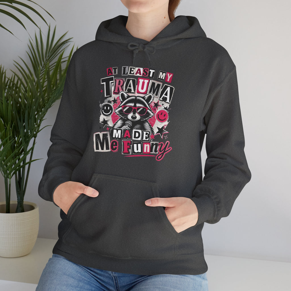 At Least My Trauma Made Me Funny | Sarcastic Raccoon Hoodie | Cr8tive Designs