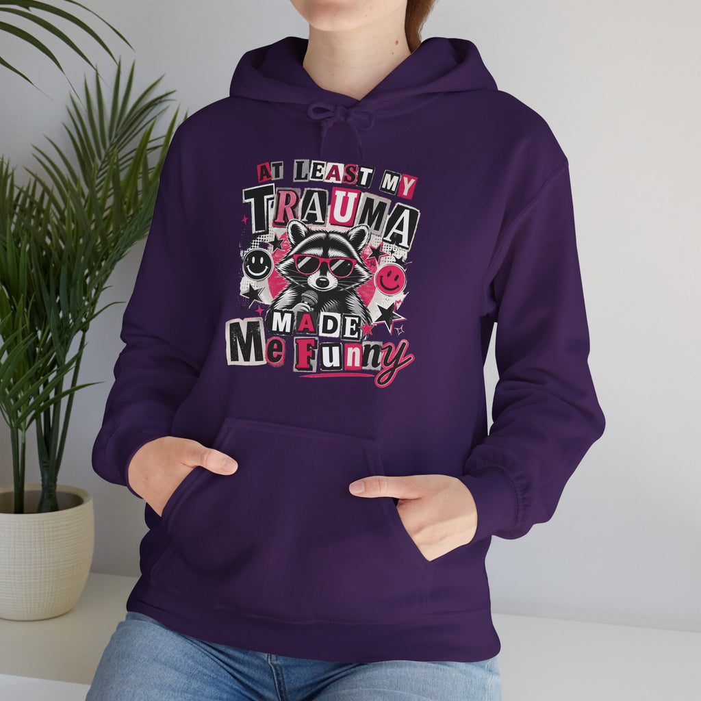 At Least My Trauma Made Me Funny | Sarcastic Raccoon Hoodie | Cr8tive Designs