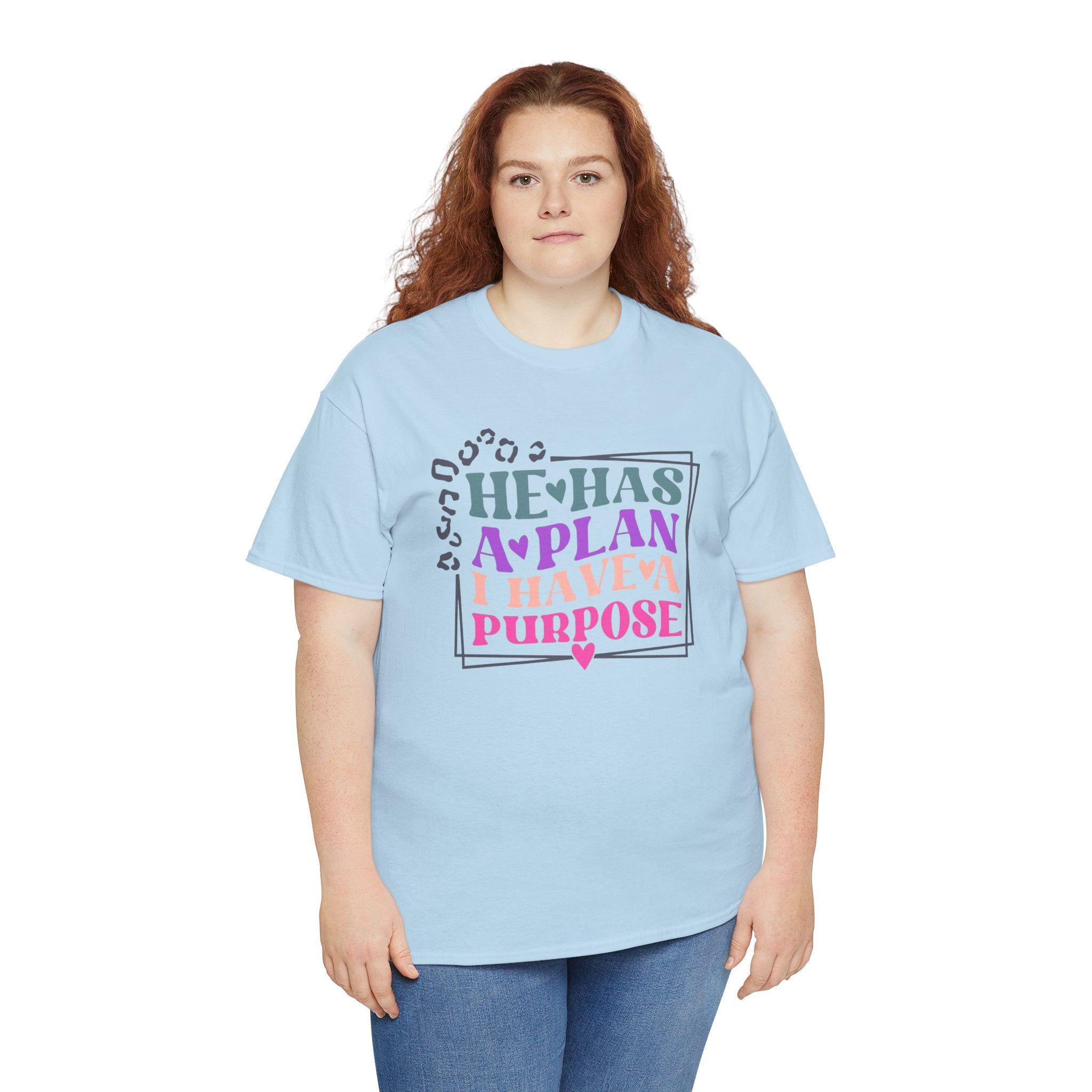 He Has A Plan I Have A Purpose T-Shirt