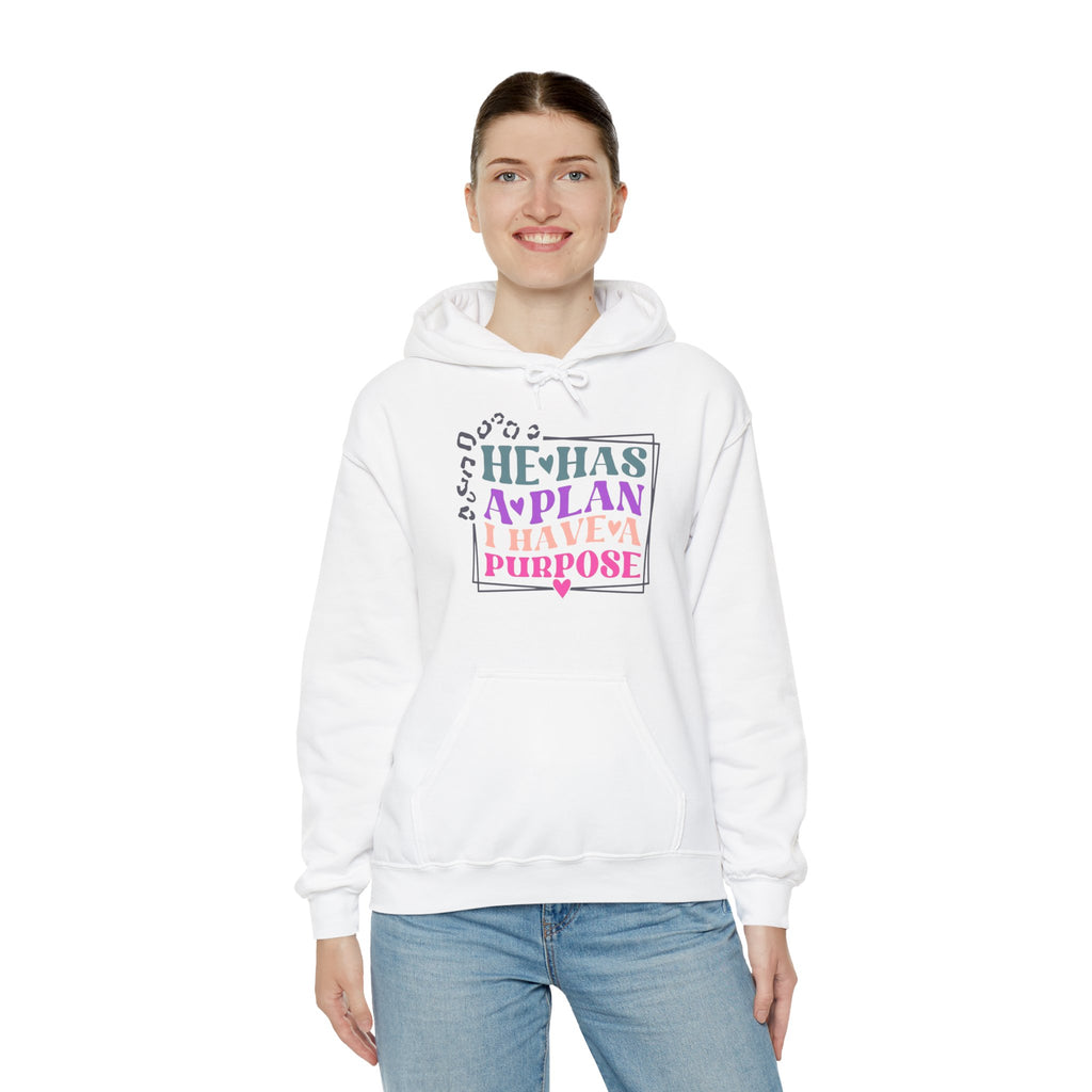 He Has A Plan I Have A Purpose Hoodie