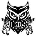 Custom DTF Print – Owls (YOUTH)
