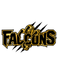 Custom DTF Print – Falcons – Adult Full Front 12"