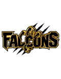 Custom DTF Print – Falcons – Youth Full Front 8"